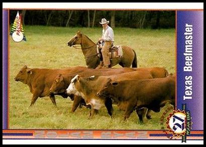 104 Texas Beefmaster